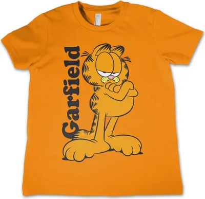 Produktbild von Garfield Kids T-Shirt - 12Years-XL - Orange