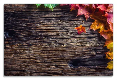 Produktbild von Wallario Frühstücksbrettchen aus Glas 20 x 30 cm mit rutschfesten Füßen, Motiv Herbstblätter auf altem Holz