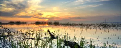Produktbild von Wallario selbstklebendes Poster - Schilf am Abend - Sonnenuntergang über der Seelandschaft, Größe: 80 x 200 cm