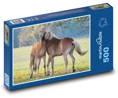 Zdjęcie produktu dla Puzzle 500 Dwa konie na łące - martinpuzzle