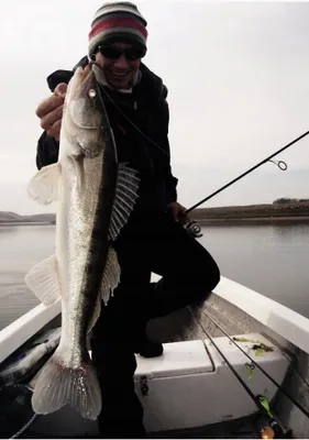 Produktbild von Rapala HJ10, 10 g, 10 cm, 1,2 m, 2,4 m