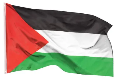 Immagine prodotto di PHENO FLAGS Bandiera Palestina Gaza 90 x 150 cm Bandiera palestinese 2 occhielli