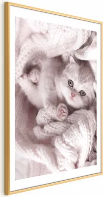 Produktbild von Posterpapier Poster - Lover of Rest 21x30 cm Tiere g-B-0137-ao-a