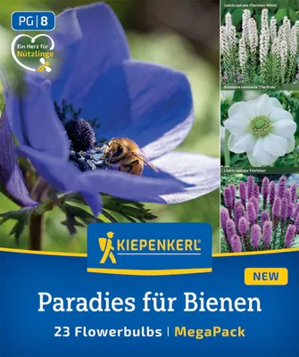 Produktbild von Kiepenkerl Mega-Pack Blumenzwiebeln Paradies für Bienen 23 Pflanzen