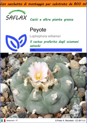 Immagine prodotto di SAFLAX Garden in the bag - Peyote - 20 semi - Lophophora