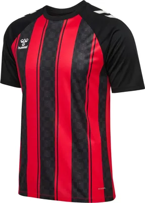 Produktbild von Hummel hmlMatch Striped Jersey Kids