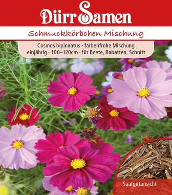 Produktbild von Schmuckkörbchen Mischung | Schmuckkörbchensamen von Dürr Samen