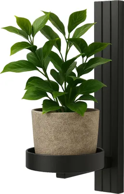 Produktbild von FRAMADO, Pflanzregal, Blumenhalter Metall, 12x15x24cm - Pianta Dritto Schwarz