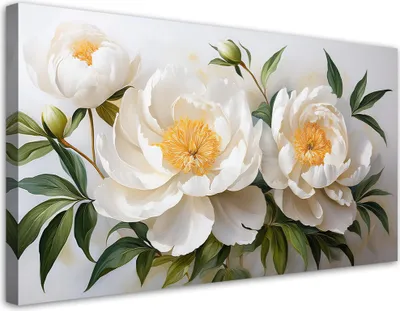 Image de Toile « Fleurs de pivoine blanches Quinton » 120 x 60 Feeby Blanc Image pour le mur, prête à être accrochée
