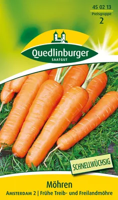 Produktbild von Quedlinburger Saatgut - Möhren Amsterdam 2 - Samen - 450213
