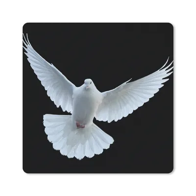 Produktbild von MuchoWow® Mauspad Mousepad Taube - Vogel - Schwarz - Weiß - Porträt 30x30 cm - Mousepads - Maus Mat - Pad - Mausunterlage - Gaming