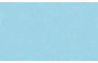 Produktbild von Glorex Blumenseide 20g/m² hellblau