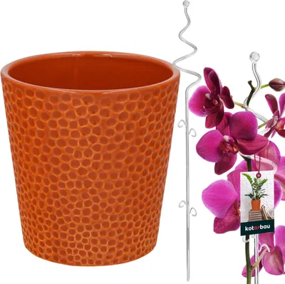 Obrázok produktu pre KOTARBAU® Kvetináč tmavá horčicová glazovaná keramika 11 cm s oporou pre rastlinu priehľadná špirála PVC 58 cm Kvetináč na orchideu keramický s oporou pre kvetinu pomôcka na šplhanie kvetináč na orchideu tyč na podporu tyče