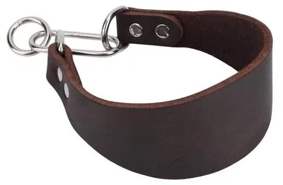 Immagine prodotto di Collare imbottito per cani - Conico - Resistente all'usura - Confortevole - Protegge dal dolore - Collare largo