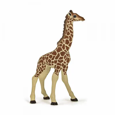 Obrázok produktu pre Papo Giraffe Calf, 3 rok / roky, Béžová, Hnedá, PVC