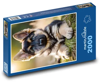 Obrázok produktu pre martinpuzzle - Puzzle 2000 - Štena
