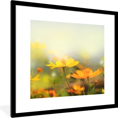 Produktbild von MuchoWow® Gerahmtes Poster Blumen - Landschaft - Gelb 40x40 cm - Poster mit Schwarzem Bilderrahmen Wandposter Rahmen Foto Bilder - Poster - Plakat im Rahmen