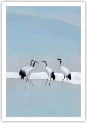 Produktbild von Poster - Poster ohne Rahmen - Vögel Kraniche Natur - 70x100 cm - Wand Bild - Wanddeko - Wandbilder - Kunstposter - Wandposter - Bilder - Kunstdruck - Wanddekoration - Wandbild - P2XPA70x100-4921