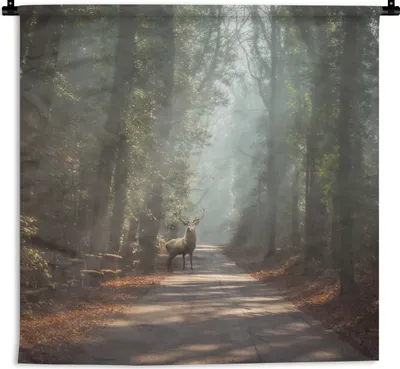 Produktbild von MuchoWow® Wandteppich Wandbehang Hirsche - Wald - Sonnenstrahlen 90x90 cm Tapisserie Dekoration Wandtuch - Wandaufhänger
