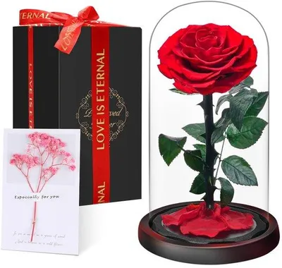 Produktbild von Premium-Ewige Rose im Glas mit Geschenkbox | Echte, konservierte Blume, handgefertigt über 5 Jahre | Einzigartiges Geschenk für Mutter, Oma als Zeichen der Wertschätzung