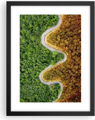 Produktbild von Gerahmtes Poster - Schwarzer Rahmen - Luftaufnahmen Weg Wald - 30x40 cm - Wand Bild - Wanddeko - Wandbilder - Kunstposter - Wandposter - Bilderrahmen - Bilder - Kunstdruck - P2BPA30x40-4659