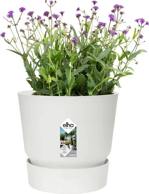 Produktbild von Elho Greenville Rund 40 - Blumentopf - Living Beton - Außen - Ø 39 x H 36.8 cm