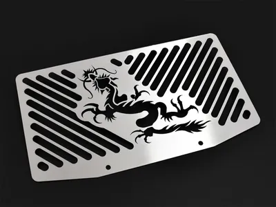 Obrázek produktu pro Kryt chladiče ZIEGER kompatibilní s Kawasaki Versys 650 BJ 2010-14 Dragon silver