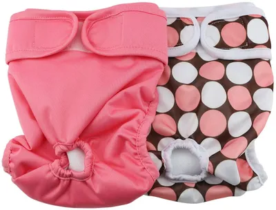 Produktbild von 2pcs Weiblich Hund Windel wiederverwendbar waschbar Langlebig Hund Windeln Hose-M