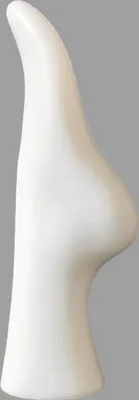 Produktbild von Sockenbein für die Präsentation von Tennissocken Sneaker Socken | Dekobein in weiß | Deko Fuß | Schaufensterpuppe - Schaufenster Bein | Mannequin Fußmodell Weiblich