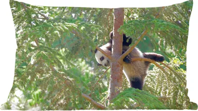 Produktbild von MuchoWow® Zierkissen Sofakissen Wohnzimmer Dekokissen 50x30 cm Panda - Baum - Blätter - Wohnzimmerdekoration - Polster mit Photo