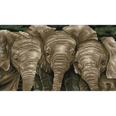 Produktbild von Trunk Call Diamond Dotz: 27x47 cm