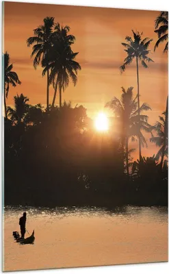 Produktbild von Bilder auf glas - Einteilig - Palme Fluss Sommer - 70x100cm - Glasbilder - Wandbilder - Bilder - zum Aufhängen bereit - Wanddekoration aus Glas - Glas Bilder - Wandbild auf Glas - GPA70x100-3894