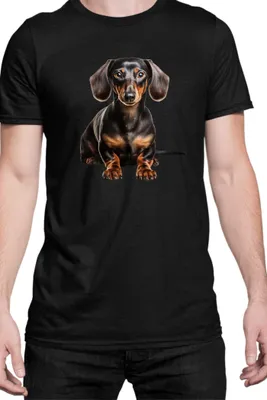 Produktbild von Herren T-Shirt Dogs Breeds Doberman Pinscher Dog Breed 005, Man 3XL / Schwarz
