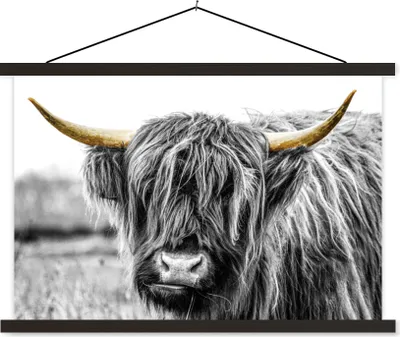 Produktbild von MuchoWow® Textilposter Schottisches Hochlandrind - Hörner - Gold - Schwarz 150x100 cm mit schwarzem Rahmen - Schlafzimmer