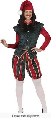 Produktbild von Damen Weihnachtself Kostüm - samtig, Santa Helper mit Hut, Hose und Tunika Gr. M - XL, Größe:S