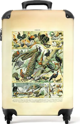 Obrázek produktu pro NoBoringSuitcases.com® Kufr Příruční zavazadlo Trolley Rolling suitcase Malý cestovní kufr na 4 kolečkách - Vintage - Peacock - Bird - Illustration - Millot - Cabin Size < 55x40x23 cm & 55x40x20 cm - Foto kufr - Cabin suitcase - Board luggagePříruční zavazadlo Kufr 55x35x20 cm, 36L,
