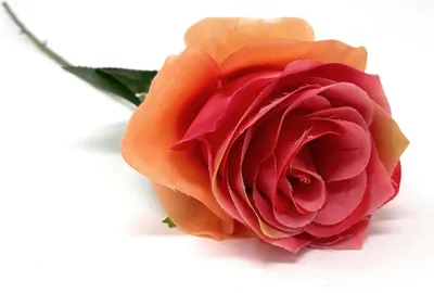 Produktbild von künstliche Rose SIMONE pink H. 45cm D. 7cm Emerald