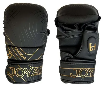 Immagine prodotto di Guantoni Joyagear Essential MMA - Nero/Oro - L