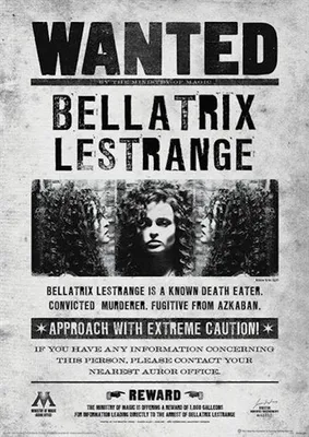 Obrázok produktu pre Harry POTTER – Bellatrix Wanted – Umelecký tlač – 30 x 40 cm – Plagát