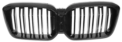 Productafbeelding van Nierengrill voor BMW X3 G01 LCI en X4 G02 LCI, modeljaren 2021-2025, met dubbele strepen, glanzend zwart.