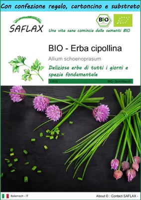 Immagine prodotto di SAFLAX Set regalo -- Erba cipollina - 250 semi - Allium