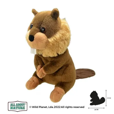 Obrázek produktu pro Wild Planet - Bobr plyš