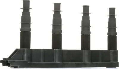 Image de Bobine D'allumage Citroen C2 1,4 16V 06-