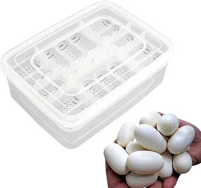 Produktbild von Famanu Brutkasten für Reptilieneier - 16 Brutplätze, transparent