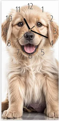 Produktbild von Wanduhr aus Glas mit Motiv Hund und Katze- 30 x 60 cm - inkl. Aufhängesystem