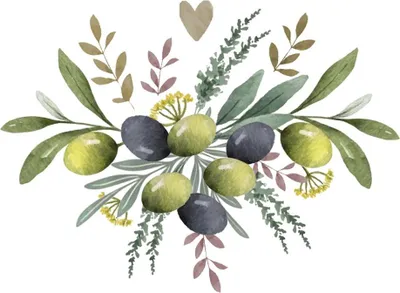 Produktbild von Servietten 33x33 cm - Olives & Herbs