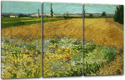 Produktbild von Leinwandbild 3-teilig (120x80cm): Vincent van Gogh - Weizenfeld, echter Holz-Keilrahmen inkl. Aufhänger, handgefertigt in Deutschland