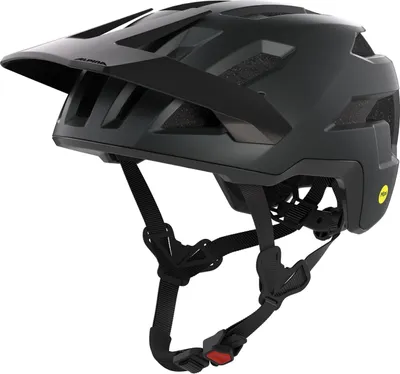 Produktbild von ALPINA TAUNUS MIPS dark grey 52