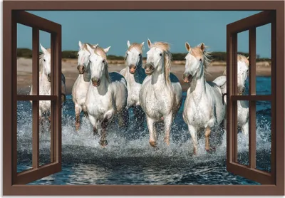 Produktbild von ARTland Wandbild Alu für Innen & Outdoor Fensterblick Pferde am Strand Größe: 70x50 cm