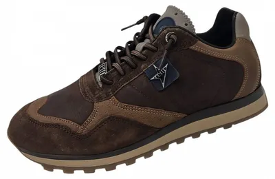 Produktbild von Cetti Sneaker Braun